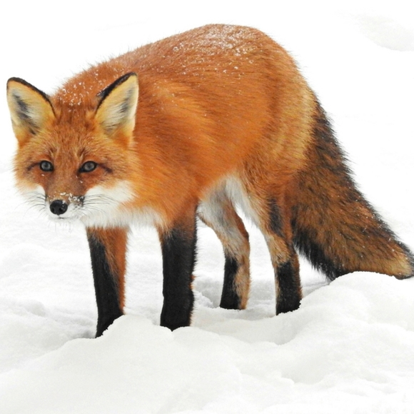 Lazy TV day๐๐บ ๐ - Picture 16 of 16